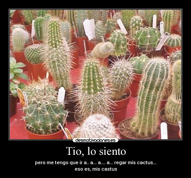 Tio, lo siento - pero me tengo que ir a.. a... a.... a... regar mis cactus...
eso es, mis castus