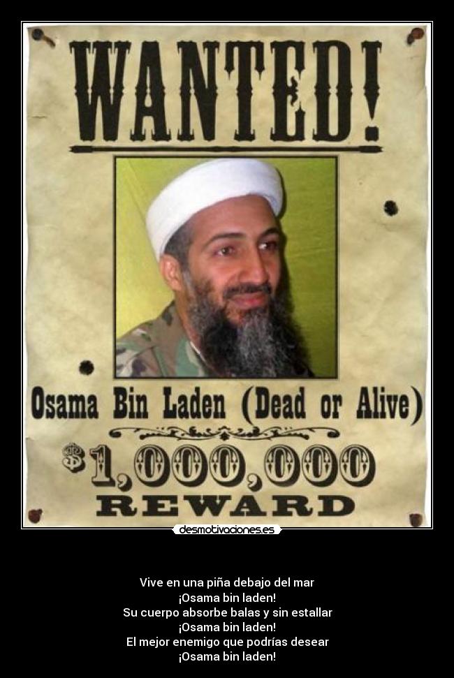 - Vive en una piña debajo del mar
¡Osama bin laden!♫
Su cuerpo absorbe balas y sin estallar
¡Osama bin laden!♫
El mejor enemigo que podrías desear
¡Osama bin laden!♫