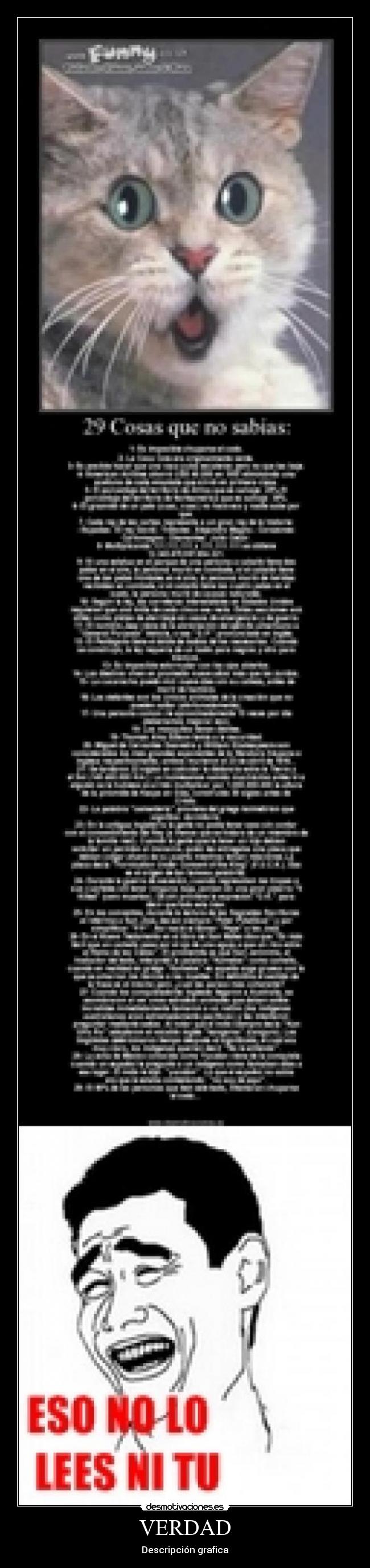 VERDAD - Descripción grafica