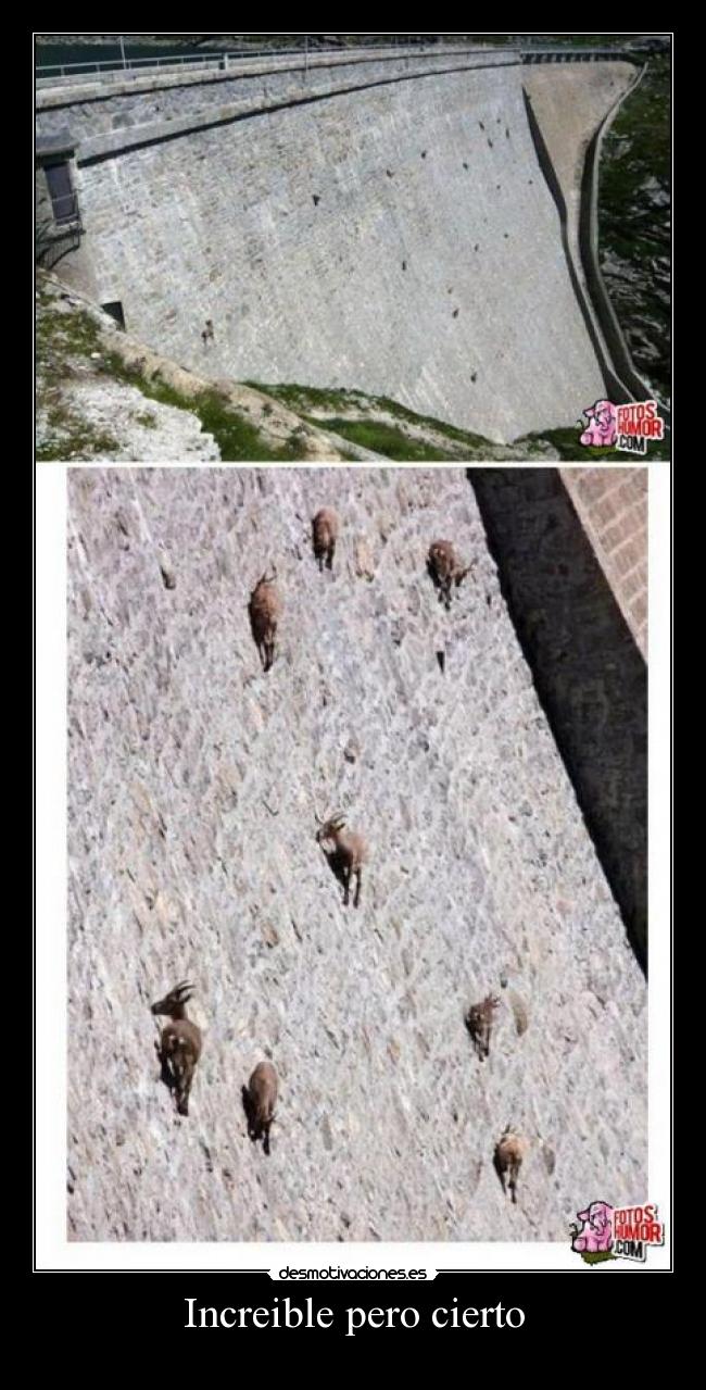 Increible pero cierto -