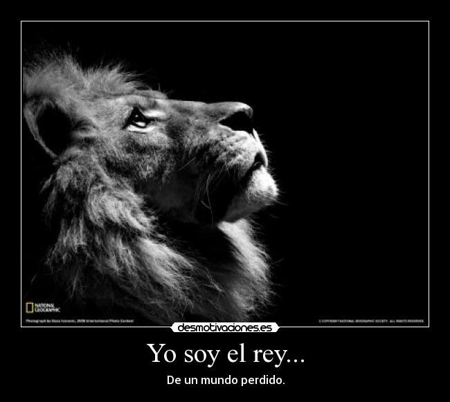 Yo soy el rey... -