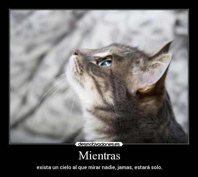 Mientras -