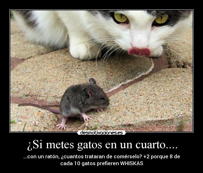 carteles gatos gatos comida gato gatosfelino felinos ratones raton walt_k desmotivaciones