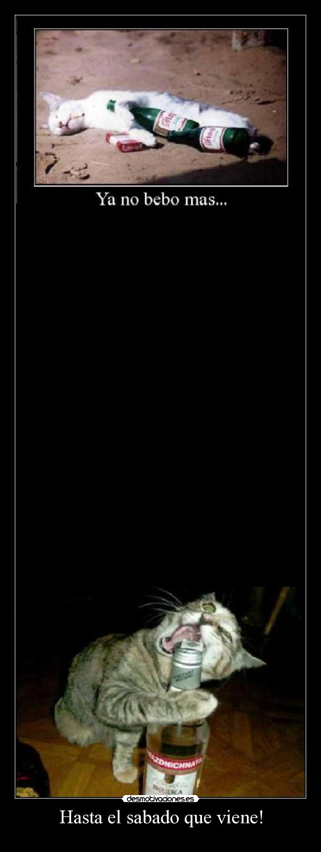 Hasta el sabado que viene! -