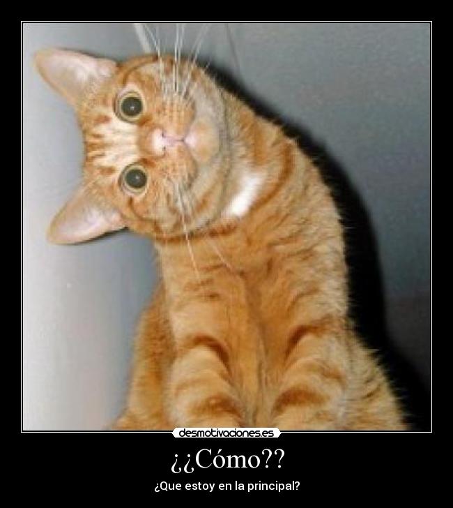 ¿¿Cómo?? - ¿Que estoy en la principal?