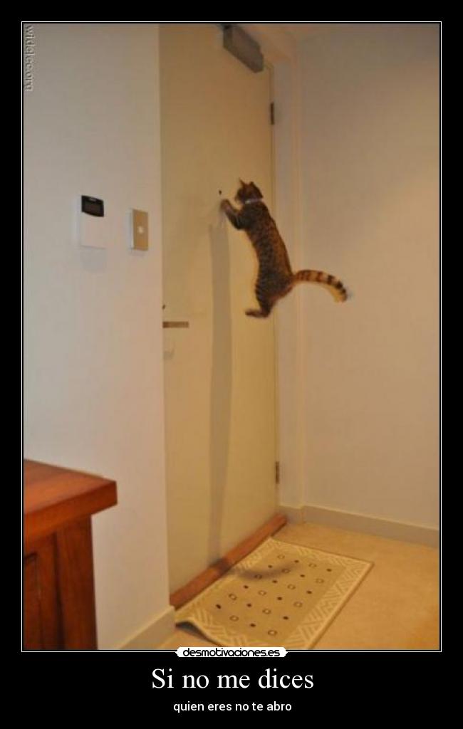 Si no me dices -