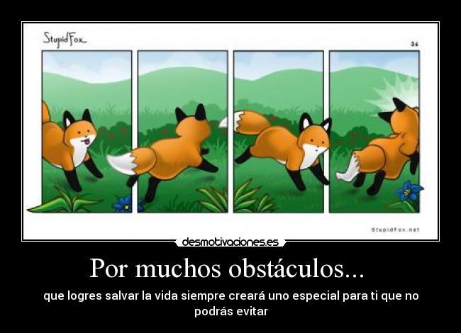 carteles obstaculos stupid fox desmotivaciones