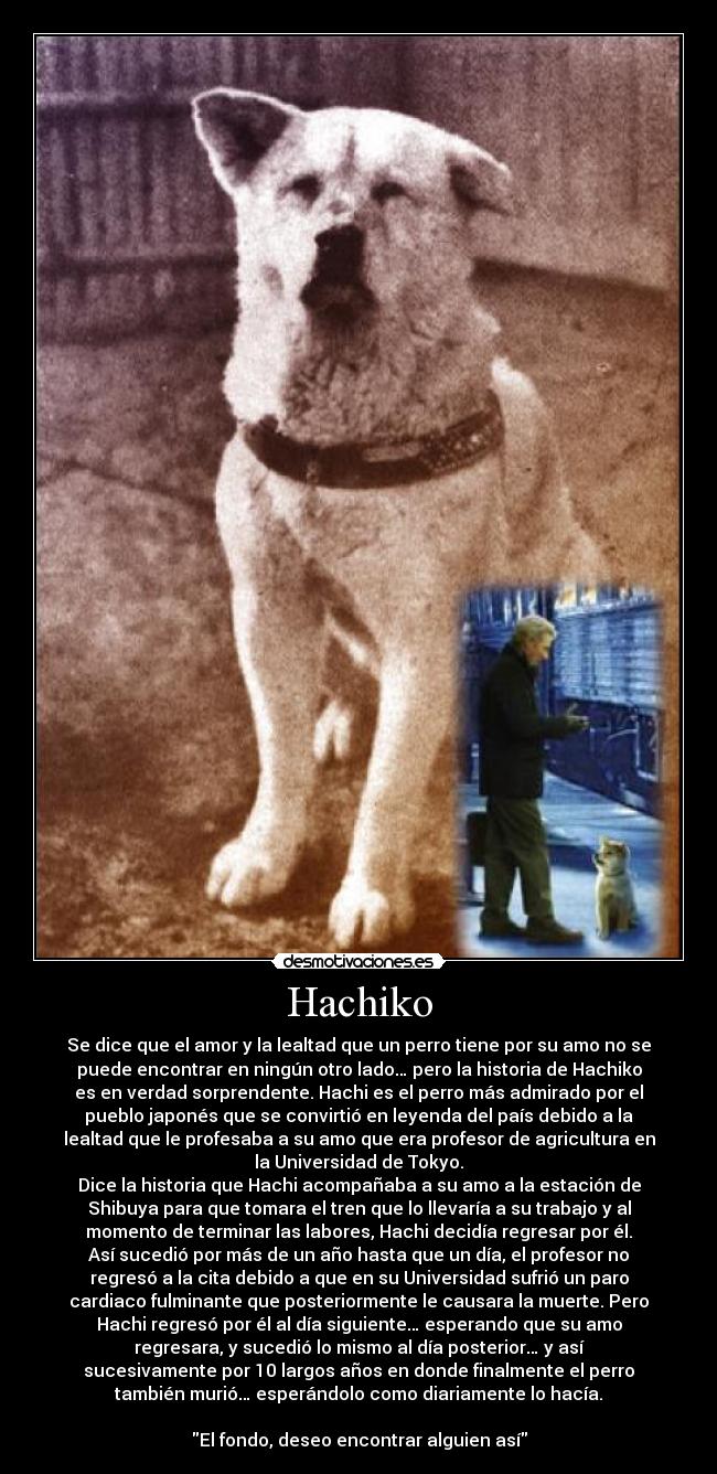 Hachiko -