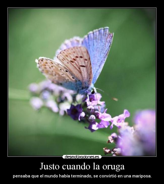 Justo cuando la oruga -