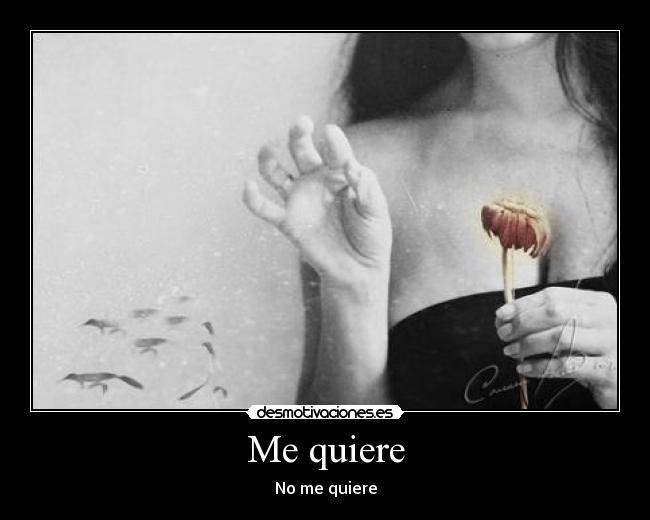 carteles kiere desmotivaciones