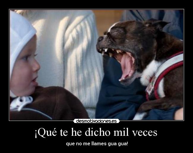 ¡Qué te he dicho mil veces  - 