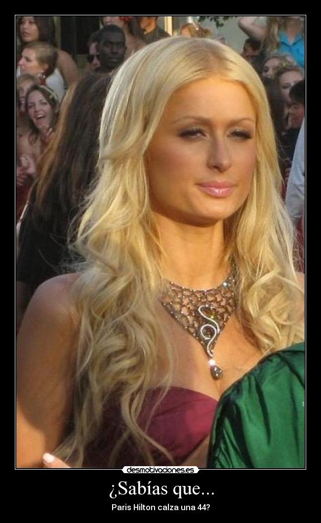 ¿Sabías que... - Paris Hilton calza una 44?