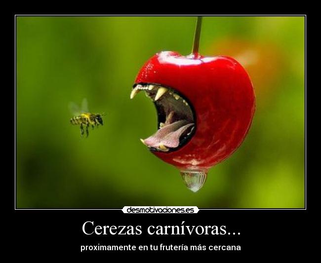 Cerezas carnívoras... - proximamente en tu frutería más cercana
