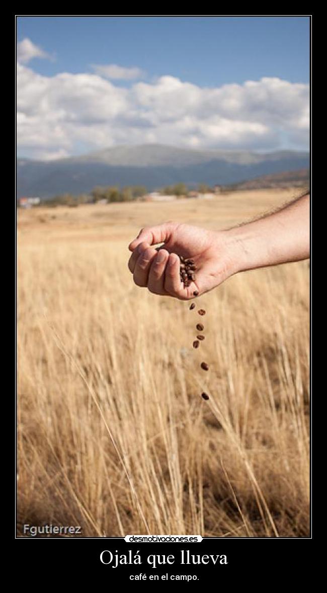 carteles ojala que llueva cafe campo desmotivaciones