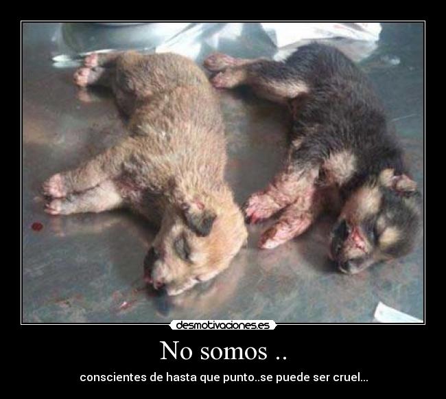 No somos .. - 