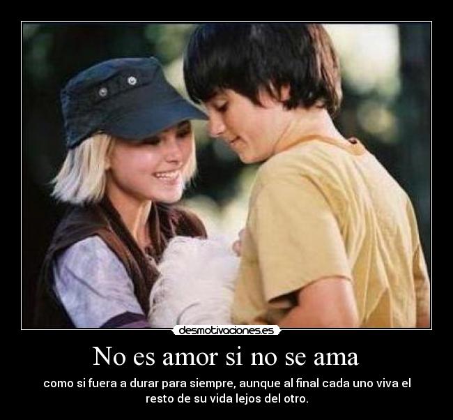 No es amor si no se ama -