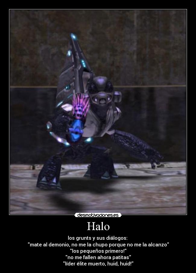 Halo - 