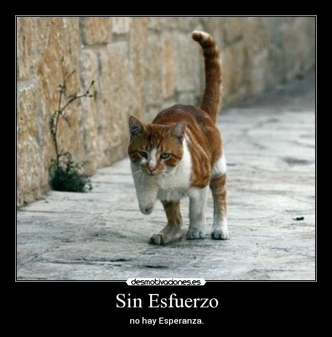 Sin Esfuerzo - no hay Esperanza.