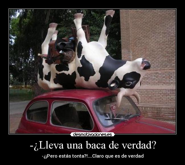 -¿Lleva una baca de verdad? - -¿¡Pero estás tonta?!....Claro que es de verdad