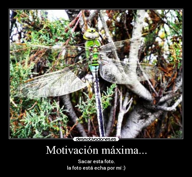 Motivación máxima... - 