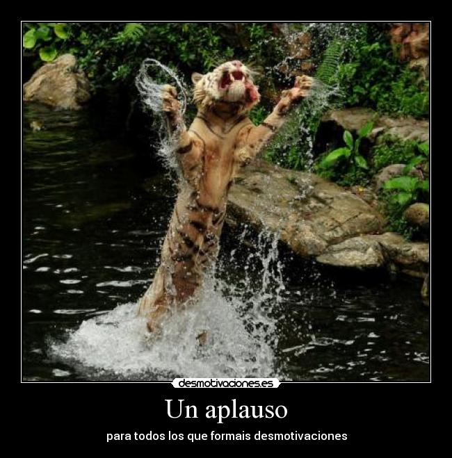 carteles tigre rap sekuo aplauso desmotivaciones desmotivaciones