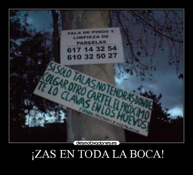 ¡ZAS EN TODA LA BOCA! -