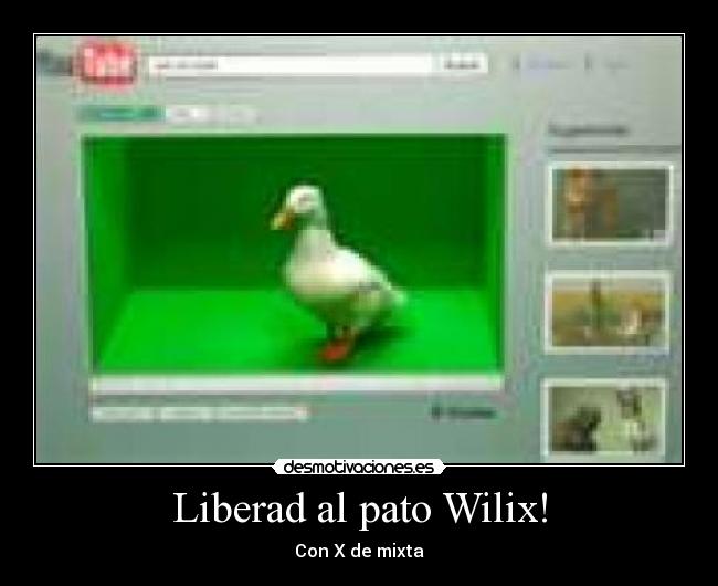 Liberad al pato Wilix! -