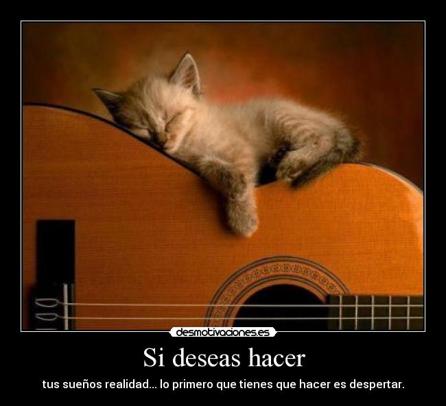 Si deseas hacer - tus sueños realidad... lo primero que tienes que hacer es despertar.