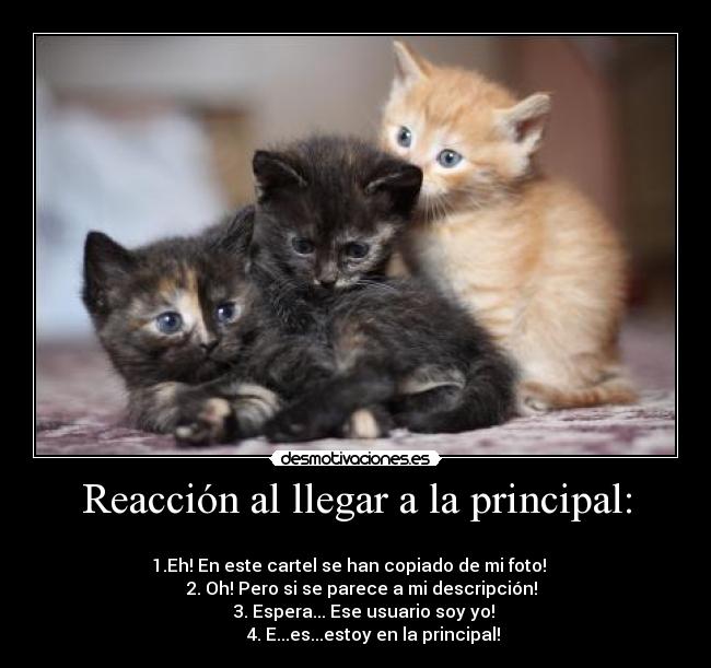Reacción al llegar a la principal: -
