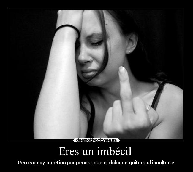 Eres un imbécil -