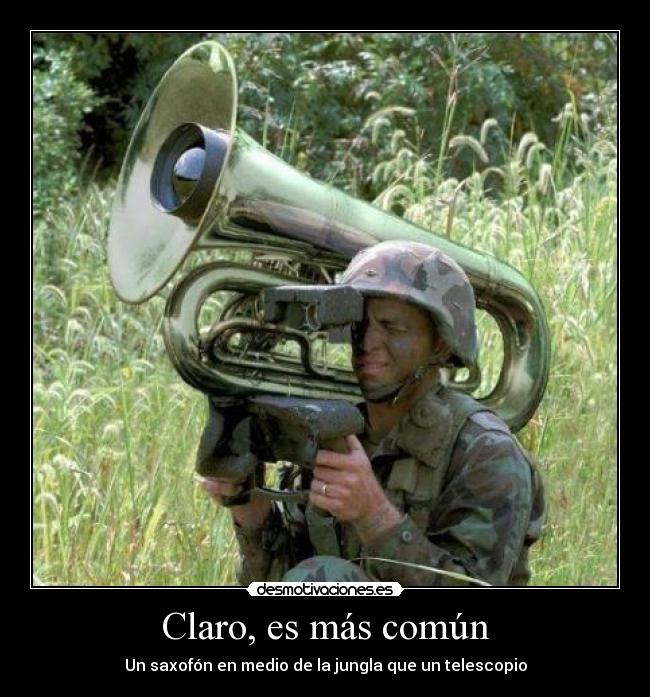 Claro, es más común - Un saxofón en medio de la jungla que un telescopio