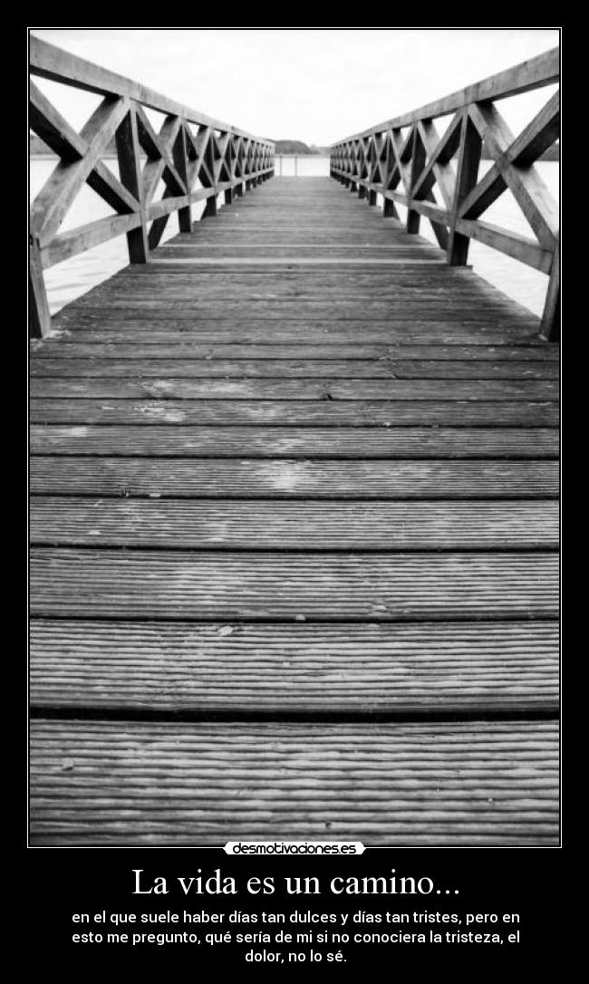 La vida es un camino... - en el que suele haber días tan dulces y días tan tristes, pero en
esto me pregunto, qué sería de mi si no conociera la tristeza, el
dolor, no lo sé.