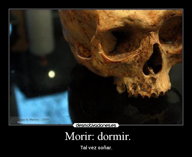 Morir: dormir. - Tal vez soñar.