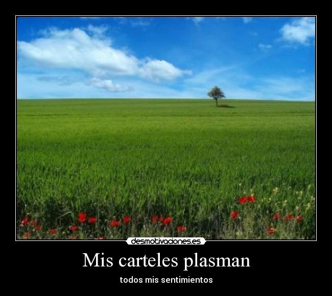 Mis carteles plasman -