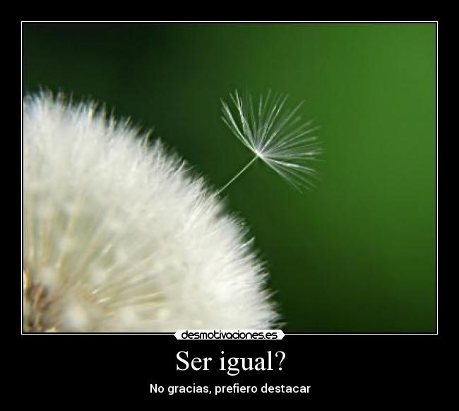 Ser igual? - 