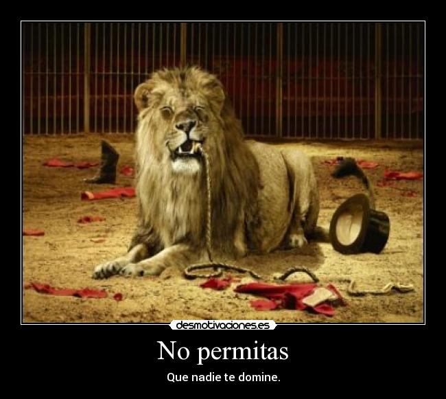No permitas - 