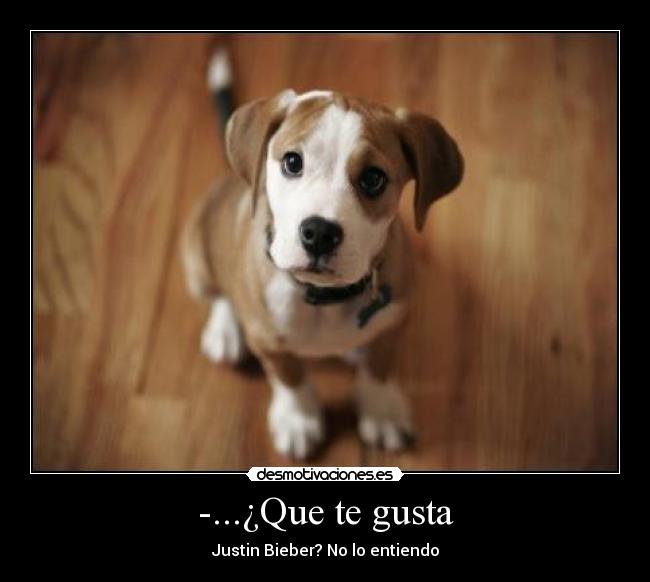 -...¿Que te gusta - 