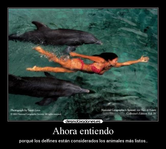 Ahora entiendo - porqué los delfines están considerados los animales más listos..