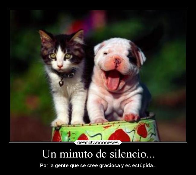 Un minuto de silencio... - Por la gente que se cree graciosa y es estúpida...