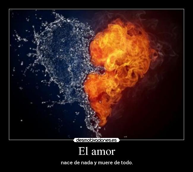El amor - 