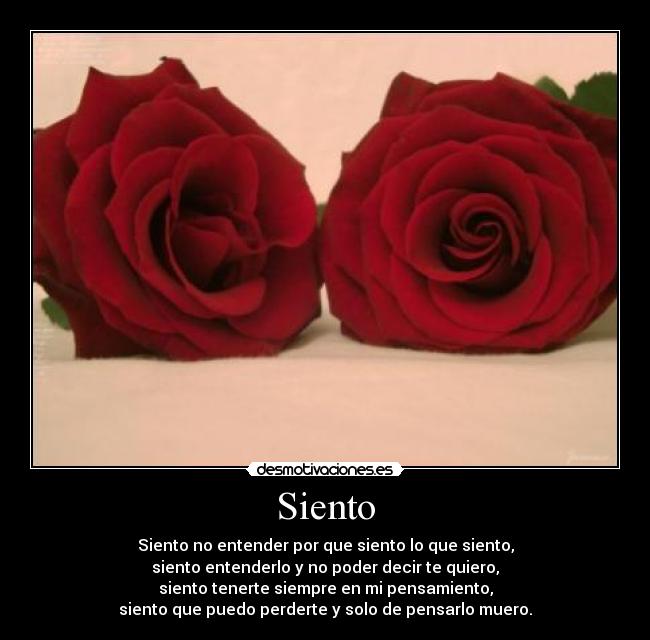 Siento - Siento no entender por que siento lo que siento,
siento entenderlo y no poder decir te quiero,
siento tenerte siempre en mi pensamiento,
siento que puedo perderte y solo de pensarlo muero.