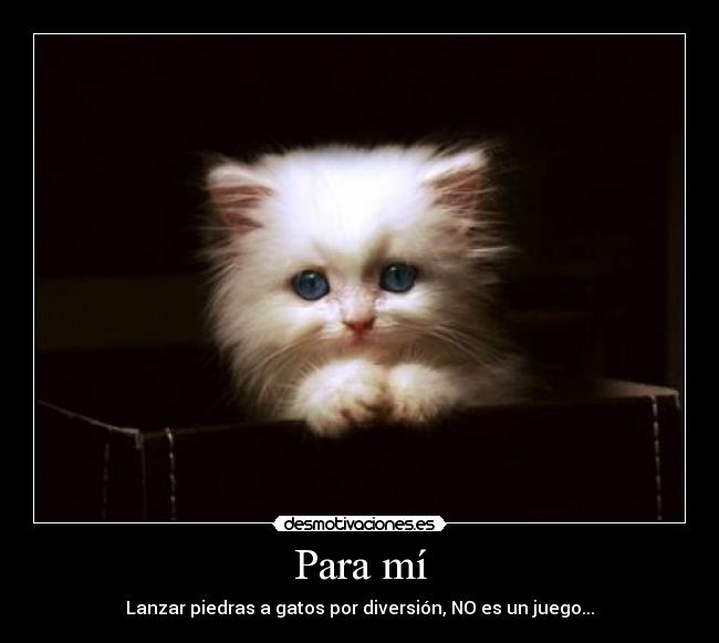 Para mí - Lanzar piedras a gatos por diversión, NO es un juego...