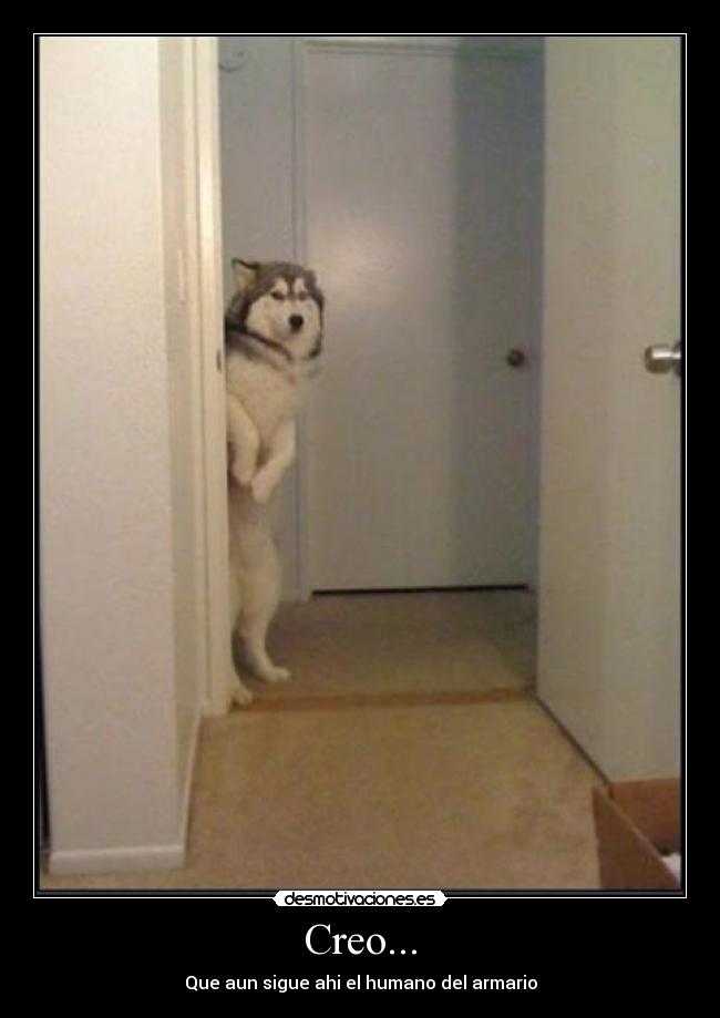 Creo... - Que aun sigue ahi el humano del armario