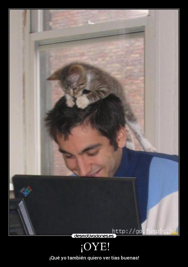¡OYE! - ¡Qué yo también quiero ver tias buenas!