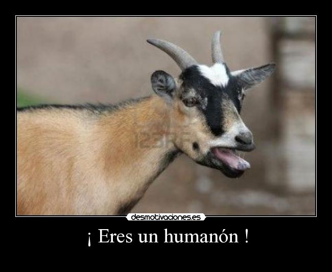 ¡ Eres un humanón ! - 