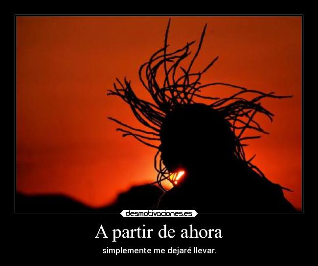 carteles dejarse llevar zorra implakable desmotivaciones