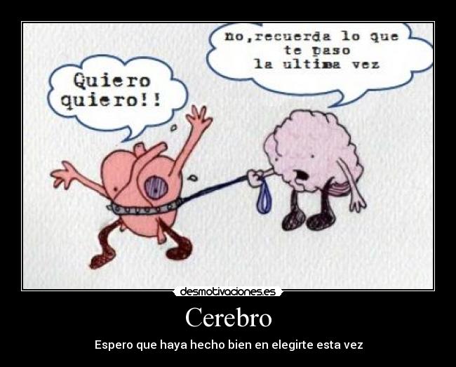 Cerebro - Espero que haya hecho bien en elegirte esta vez