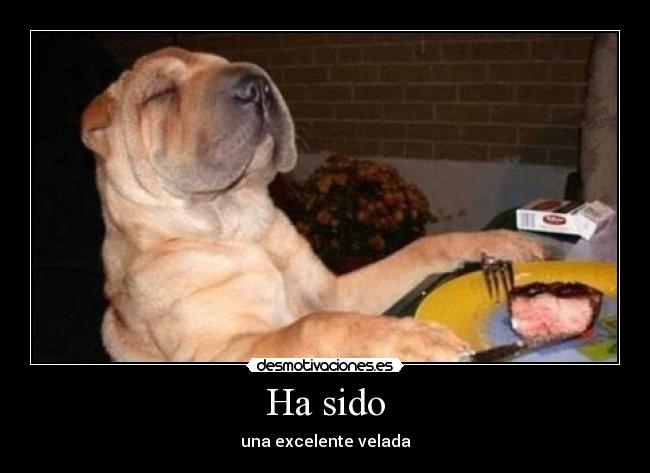 Ha sido - una excelente velada