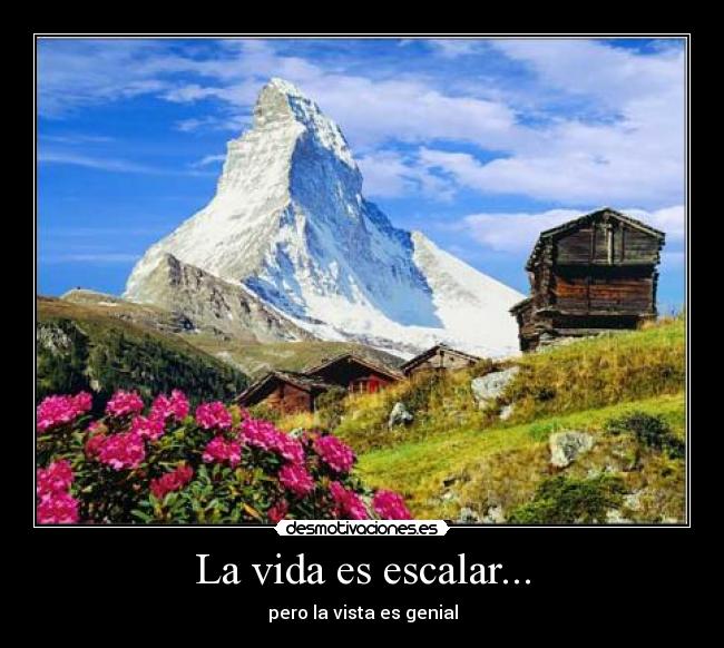 La vida es escalar... - pero la vista es genial