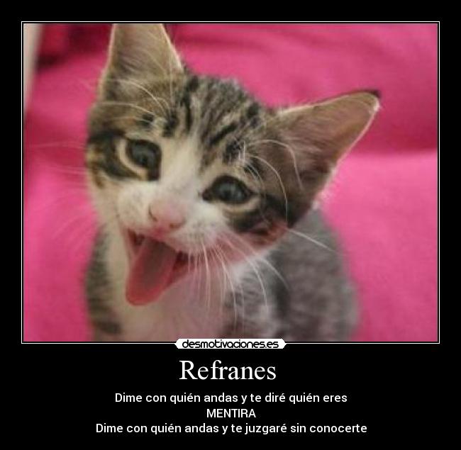carteles gatosrefranes juzgar desmotivaciones